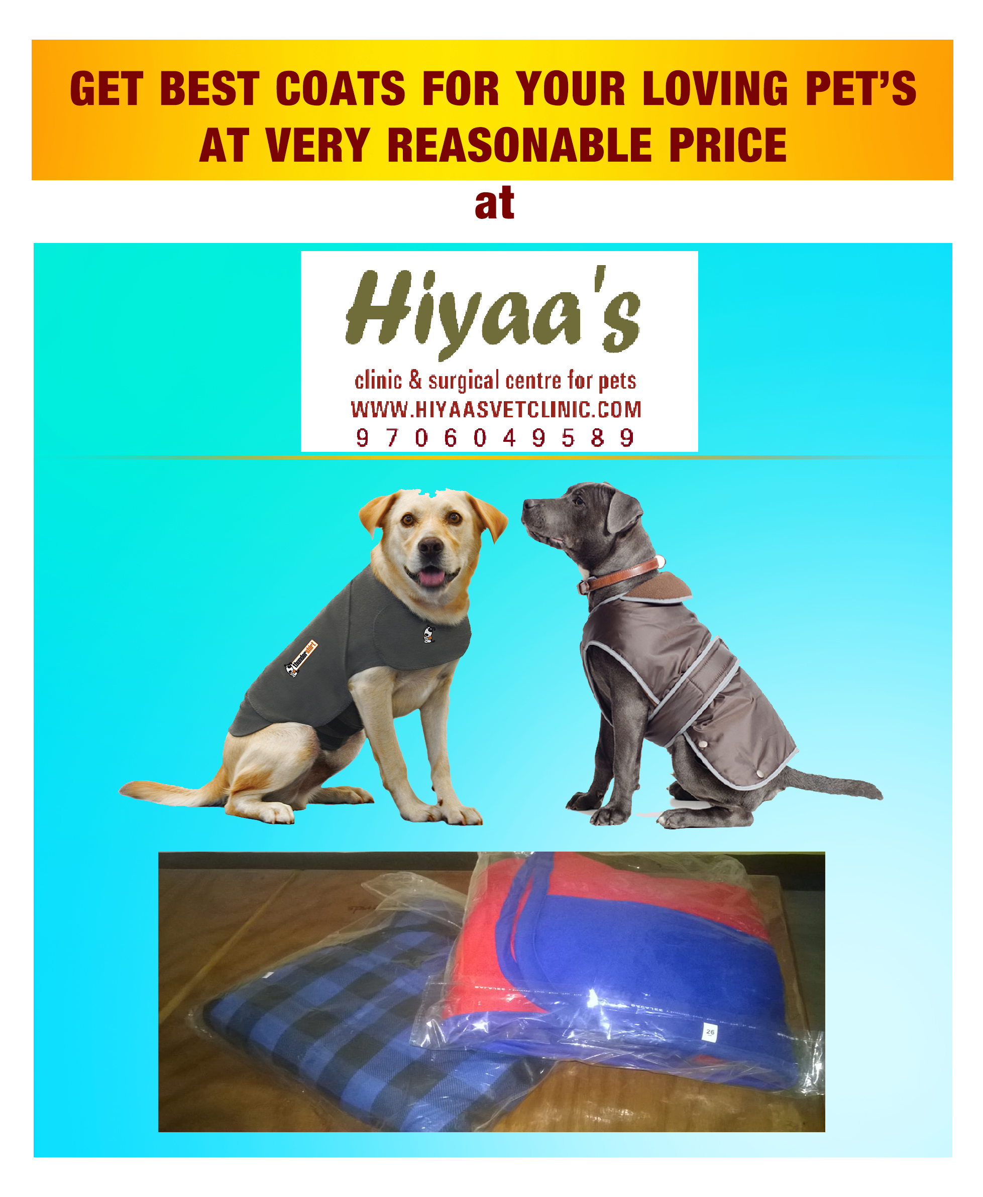 Best of coats for your pet at Hiyaa’s clinic: Get them one today!