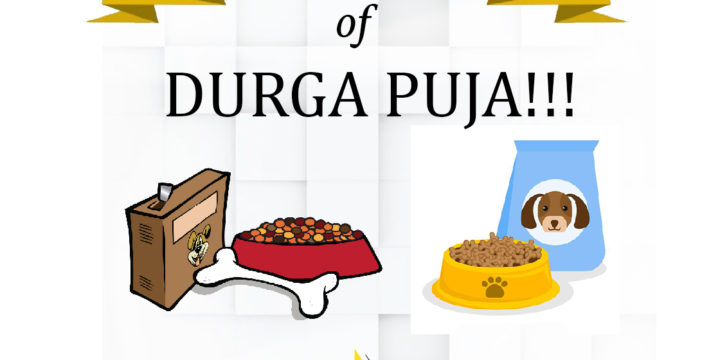 Grab This Great Offer on Durga Puja 2018