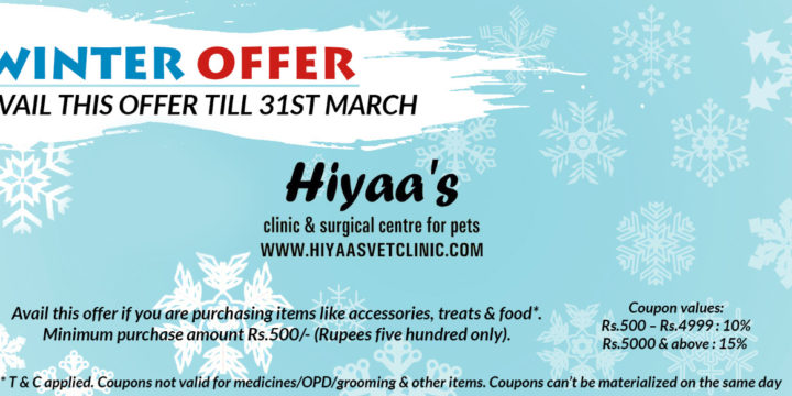 Winter Offer – Avail this opportunity till 31st March
